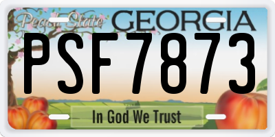 GA license plate PSF7873