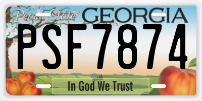 GA license plate PSF7874