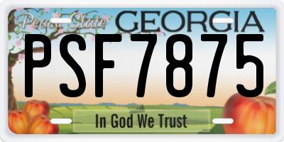 GA license plate PSF7875