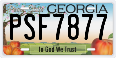 GA license plate PSF7877