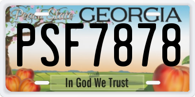 GA license plate PSF7878