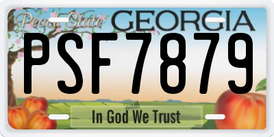 GA license plate PSF7879