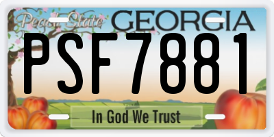 GA license plate PSF7881