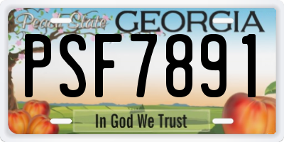 GA license plate PSF7891