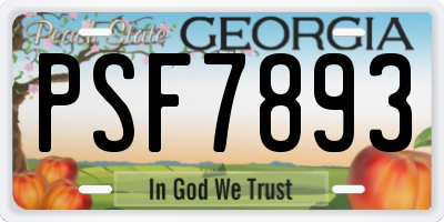 GA license plate PSF7893