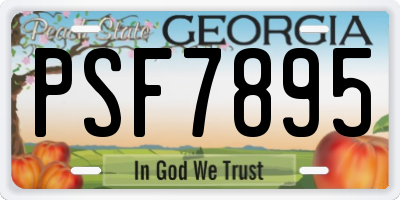 GA license plate PSF7895