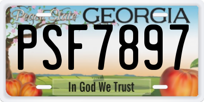 GA license plate PSF7897