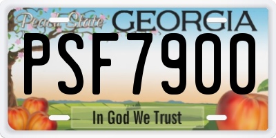 GA license plate PSF7900