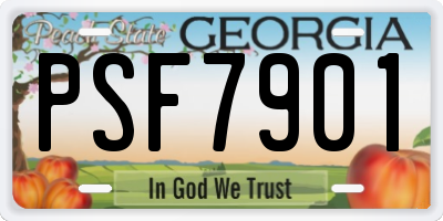GA license plate PSF7901