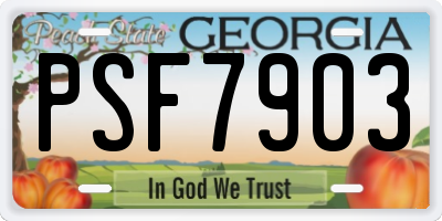GA license plate PSF7903