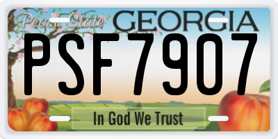 GA license plate PSF7907