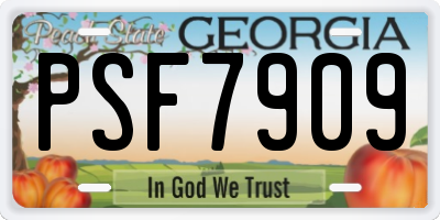 GA license plate PSF7909