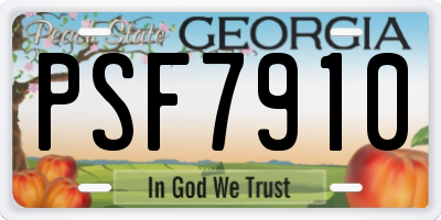 GA license plate PSF7910