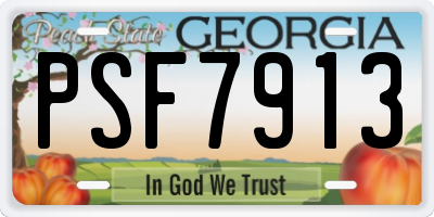 GA license plate PSF7913