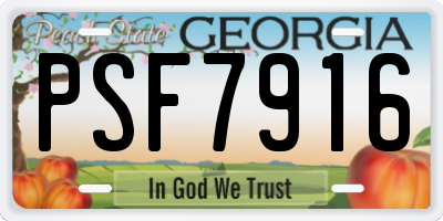 GA license plate PSF7916