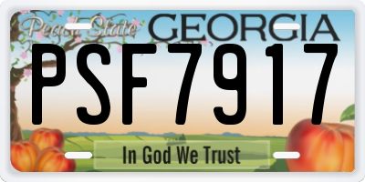 GA license plate PSF7917