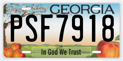 GA license plate PSF7918