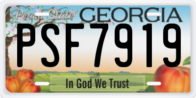 GA license plate PSF7919