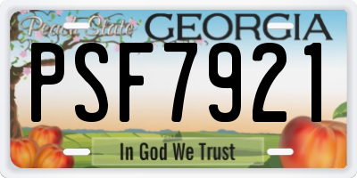 GA license plate PSF7921