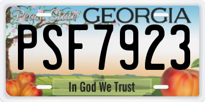 GA license plate PSF7923