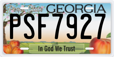 GA license plate PSF7927