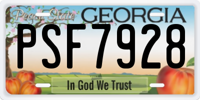 GA license plate PSF7928