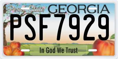 GA license plate PSF7929