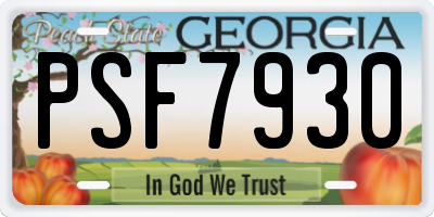GA license plate PSF7930