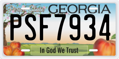 GA license plate PSF7934