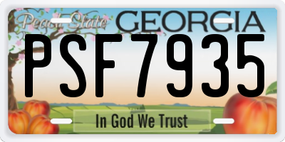 GA license plate PSF7935