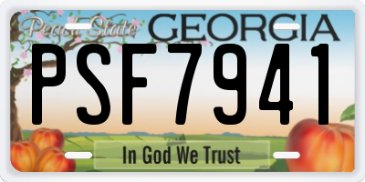 GA license plate PSF7941