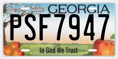 GA license plate PSF7947