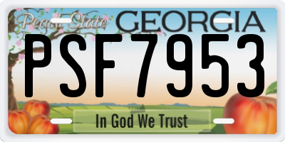 GA license plate PSF7953