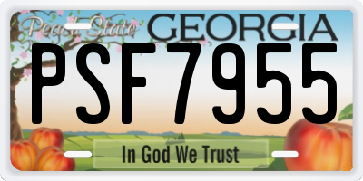GA license plate PSF7955