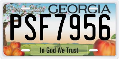 GA license plate PSF7956