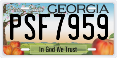GA license plate PSF7959