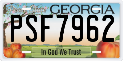 GA license plate PSF7962