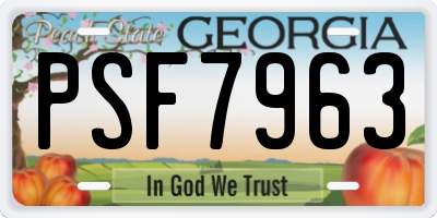 GA license plate PSF7963