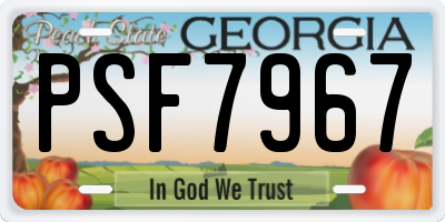 GA license plate PSF7967