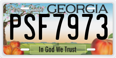 GA license plate PSF7973