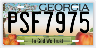 GA license plate PSF7975
