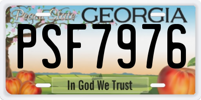 GA license plate PSF7976