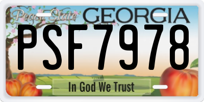 GA license plate PSF7978