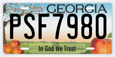 GA license plate PSF7980