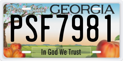 GA license plate PSF7981