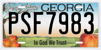 GA license plate PSF7983