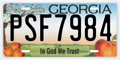 GA license plate PSF7984