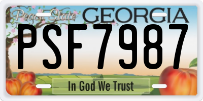 GA license plate PSF7987