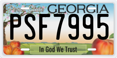 GA license plate PSF7995