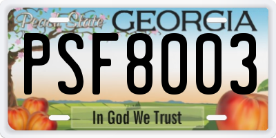 GA license plate PSF8003